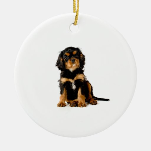 cavalier king charles spaniel garden ornament