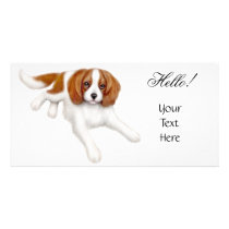 Cavalier King Charles Spaniel Photo Card photo cards