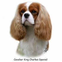 Cavalier King Charles Spaniel Acrylic Cut Out