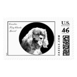 Cavalier king charles spaniel postage stamp