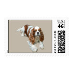 Cavalier King Charles Spaniel Postage Stamp