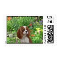 Cavalier King Charles Spaniel Postage Stamp