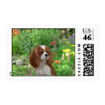 Cavalier King Charles Spaniel Postage Stamp