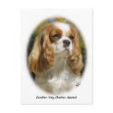 Cavalier King Charles Spaniel postcards