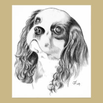 Cavalier King Charles Spaniel posters