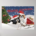 Cavalier King Charles Spaniel Poster