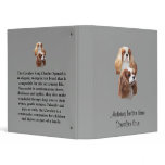 Cavalier King Charles Spaniel Pretty Girls Binder