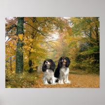 Cavalier King Charles Spaniel Print