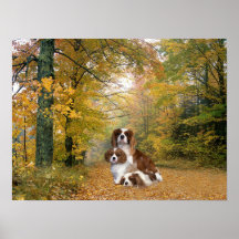 Cavalier King Charles Spaniel Print