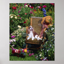 Cavalier King Charles Spaniel Print
