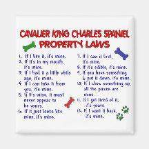 CAVALIER KING CHARLES SPANIEL Property Laws 2 Fridge Magnet