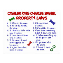 CAVALIER KING CHARLES SPANIEL Property Laws 2 Post Card