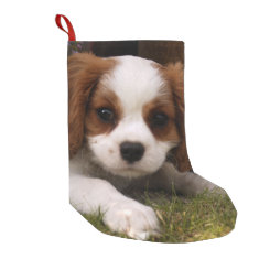 Cavalier King Charles Spaniel Puppy behind flowers Small Christmas Stocking