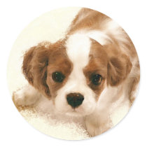Cavalier King Charles Spaniel Puppy stickers