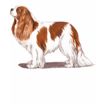 Cavalier king charles spaniel shirt