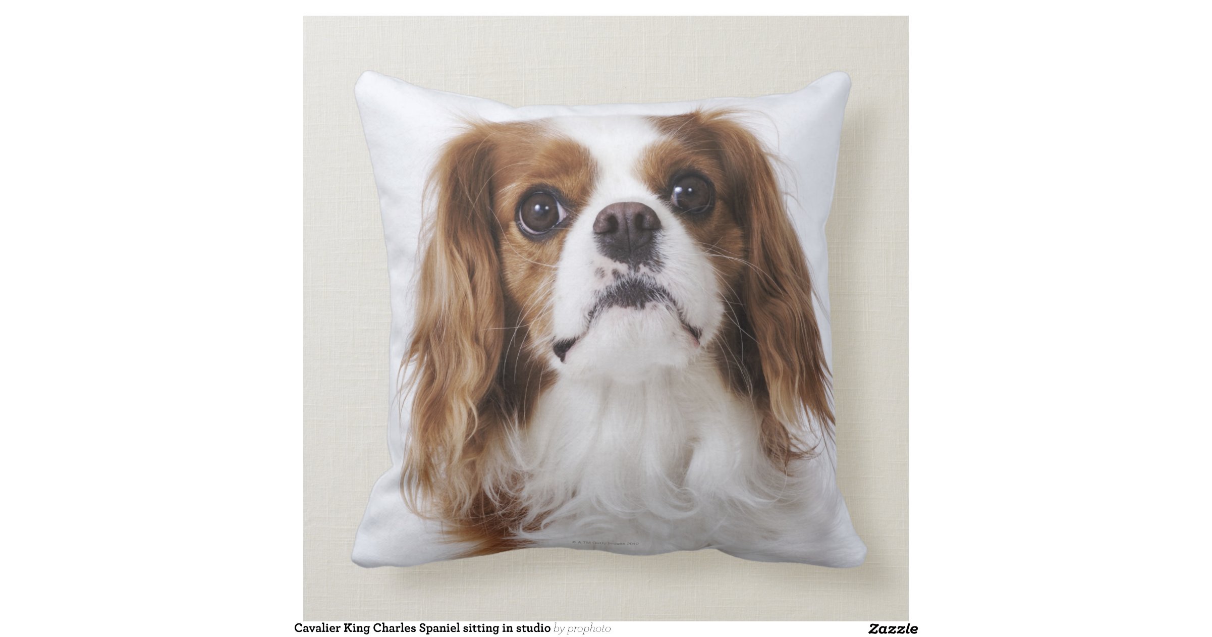 cavalier king charles spaniel cushion