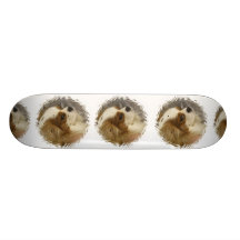 Cavalier King Charles Spaniel Skateboard