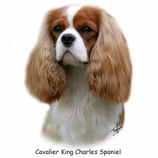 cavalier king charles spaniel sculpture