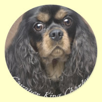 Cavalier King Charles Spaniel Stickers stickers