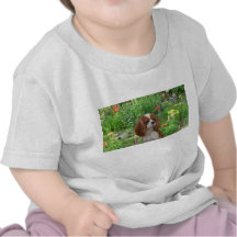 Cavalier King Charles Spaniel Toddler T-Shirt