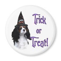Cavalier King Charles Spaniel Trick magnets