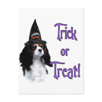 Cavalier King Charles Spaniel Trick postcards
