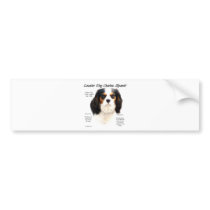 Cavalier King Charles Spaniel (tricolor) History bumper stickers by GreyWolfCreation Cavalier King Charles Spaniel (tricolor) History bumper stickers