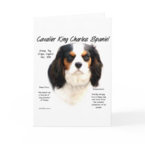 Cavalier King Charles Spaniel (tricolor) History cards