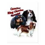 Cavalier King Charles Spaniel Trio 2 Post Cards