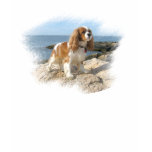 Cavalier King Charles Spaniel t-shirts