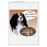 Cavalier King Charles Spaniel Turkey cards