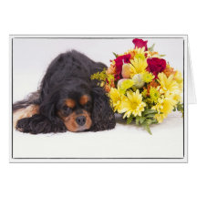 Cavalier King Charles Spaniel With Autumn Flowers Card
