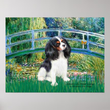 Cavalier King Charles (Tri 6) -Lily Pond  Bridge Print