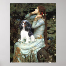 Cavalier King Charles (tri color) - Ophelia Seated Posters