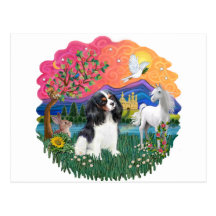 Cavalier King Charles (tri) Postcards