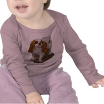 Cavalier King Charles t-shirts