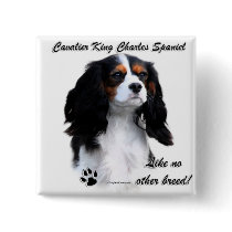 Cavalier Like No Other Breed Pin