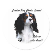 Cavalier Like No Other Breed - Sticker