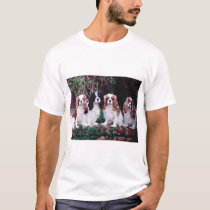 cavalier love t-shirts