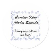 Cavalier Pawprints Sticker