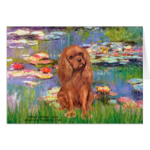 Cavalier (Ruby7) - Lilies 2 cards