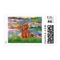 Cavalier (Ruby7) - Lilies 2 Stamps