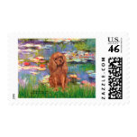 Cavalier (Ruby7) - Lilies 2 Stamps