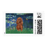 Cavalier (Ruby7) - Lilies 5 Postage Stamp
