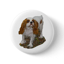 Cavalier Spaniel Button or Badge