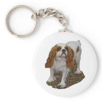 Cavalier Spaniel Key Chain keychains
