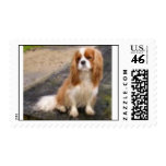 Cavalier stamps