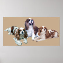 Cavalier Threesome Print