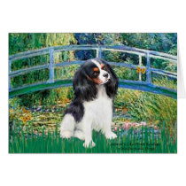 Cavalier (Tri6) - Bridge cards