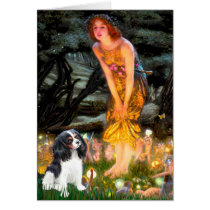 Cavalier (Tri6) - MidEve cards